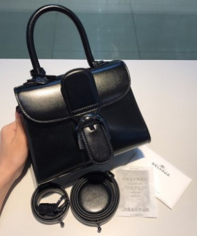 델보 브리앙 박스백 미니